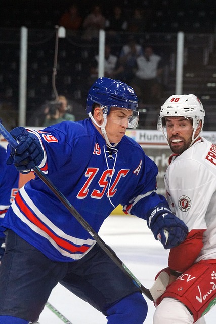 在赛场上 在赛场上